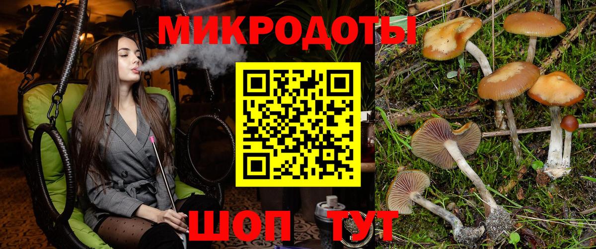 Дубна  Псилоцибиновые грибы ЛСД  Вход с VPN 