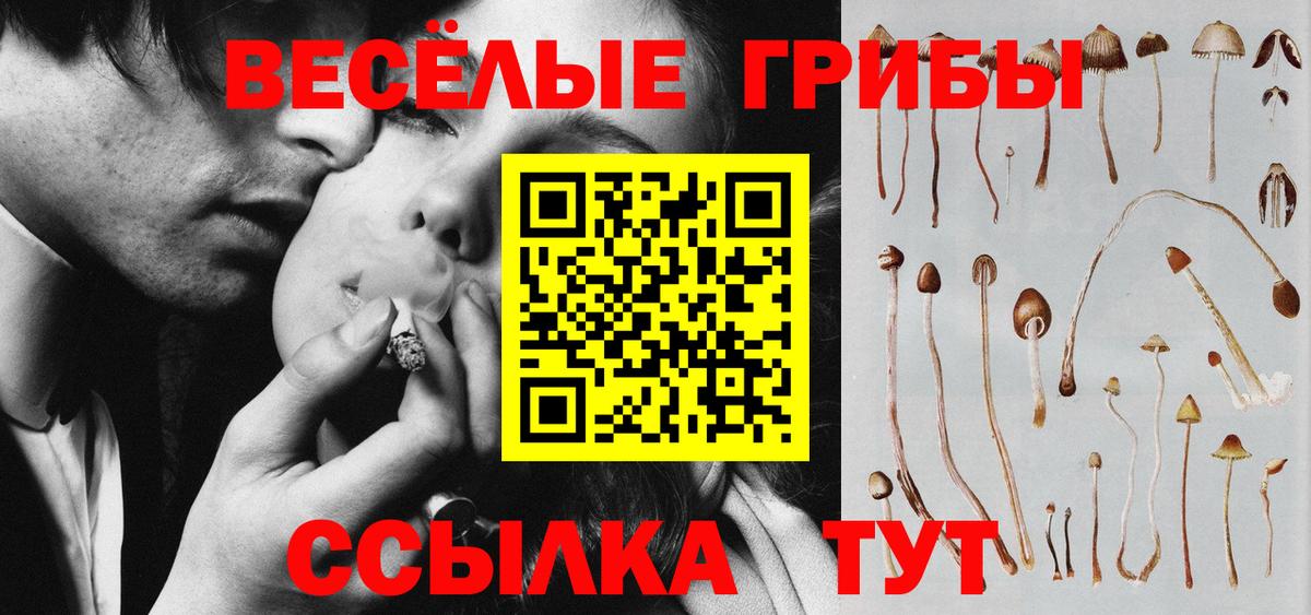 Псилоцибиновые грибы Psilocybe Дубна